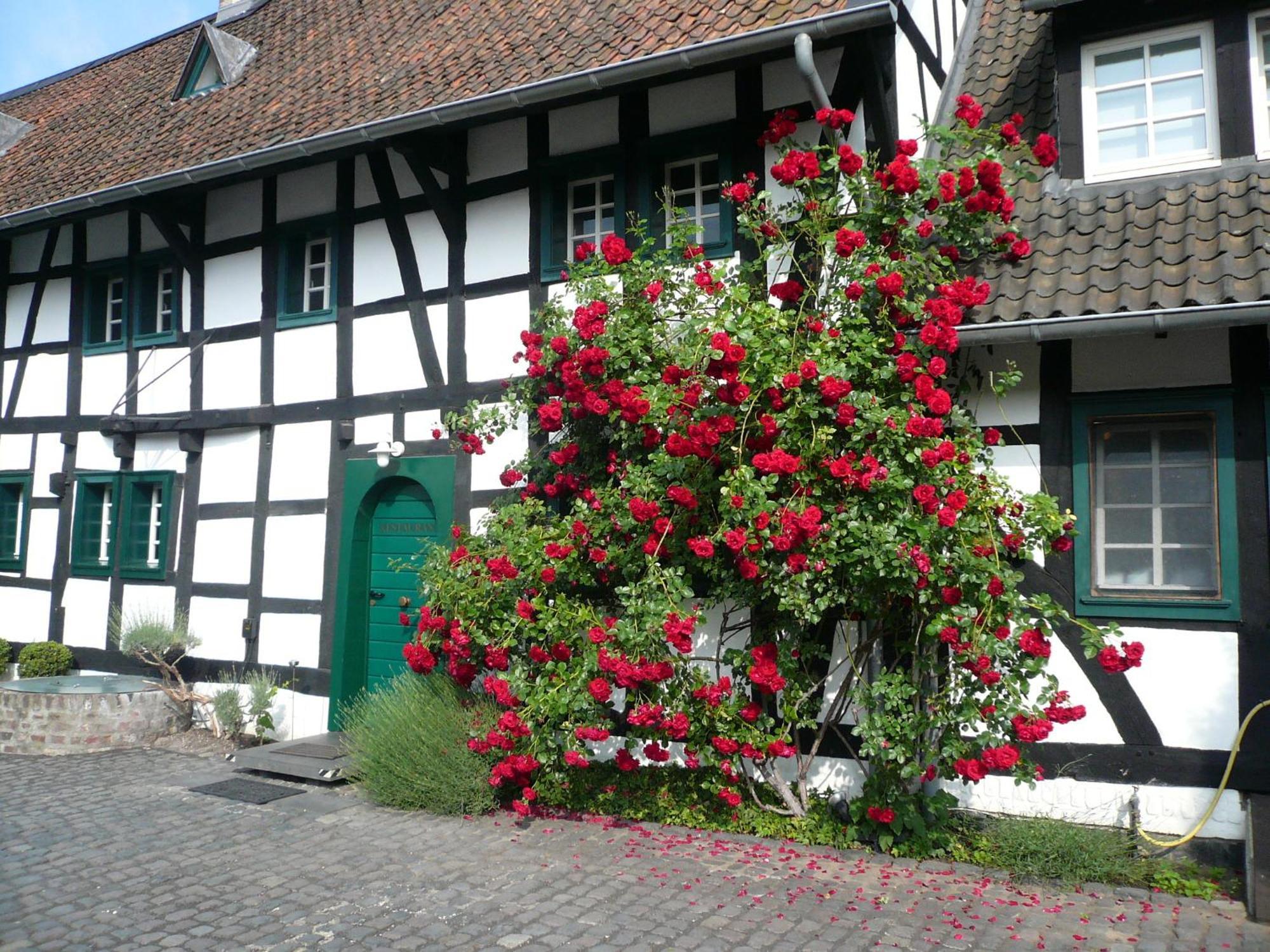 Falderhof ケルン エクステリア 写真